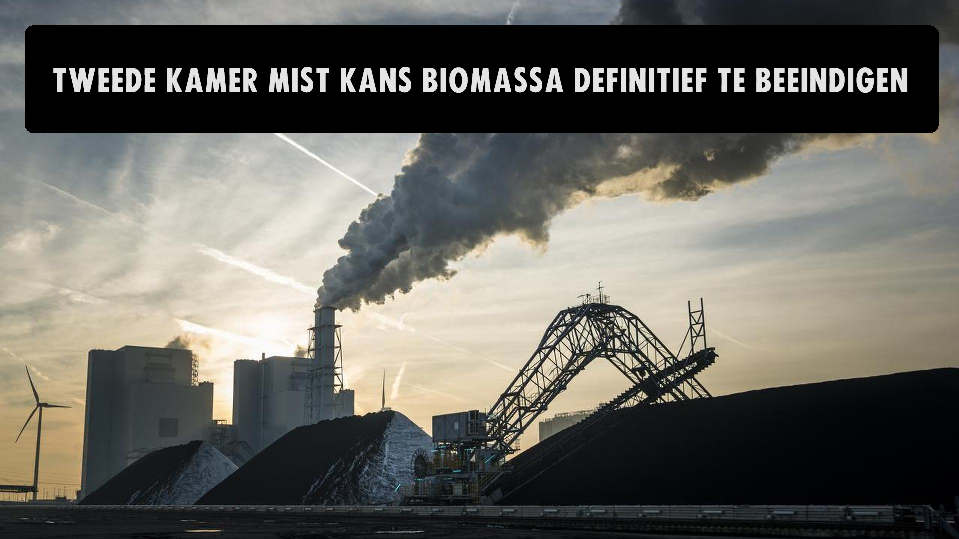 STOP DE BIOMASSALOBBY | De Klimaatcoalitie